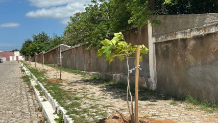 61dbe379-5626-4aac-a3db-0411e6df7cd2