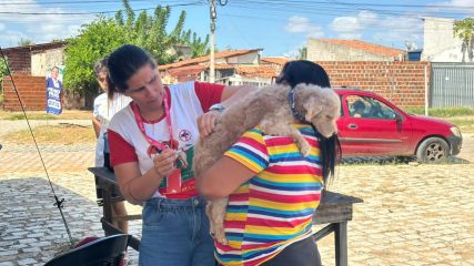 ANTIRRABICA (6)