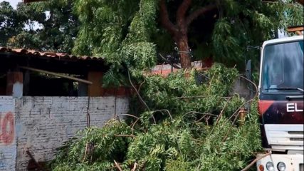 Estamos em mais uma semana de ações e cuidados com a limpeza pública da nossa cidade.