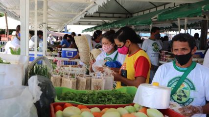Feira Agroecológica de Produtos da Agricultura Familiar acontece neste sábado (5)