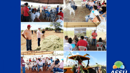 Homem do Campo