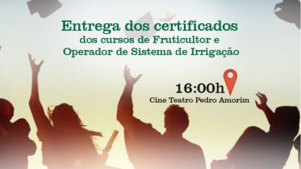 IMAGEM 4