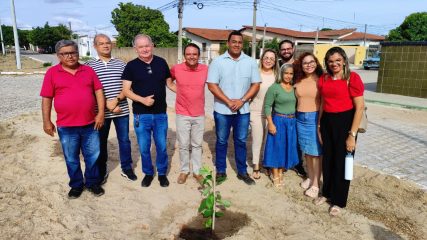 PLANTAÇÃO BAOBÁ (2)