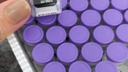 Prefeitura do Assú recebe mais doses de vacinas contra a covid-19