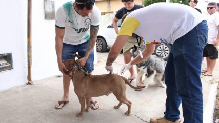 Vacinação antirrábica (3)