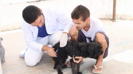 Vacinação antirrábica (5)