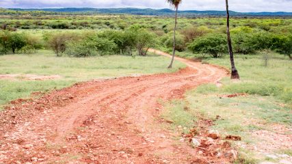 WhatsApp Image 2021-05-18 at 9.50.05 AM