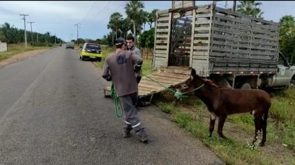 WhatsApp Image 2022-08-24 at 10.14.22