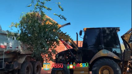 WhatsApp Image 2023-08-09 at 11.40.16