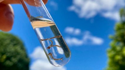 WhatsApp Image 2023-11-30 at 17.49.56