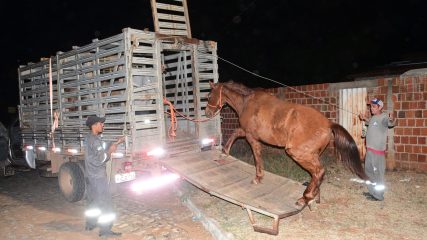 WhatsApp Image 2025-07-22 at 21.43.14 (2)