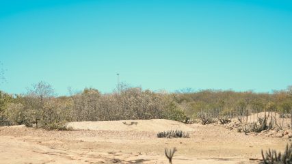 WhatsApp Image 2025-08-18 at 18.19.25