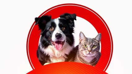 WhatsApp Image 2025-09-12 at 11.29.53