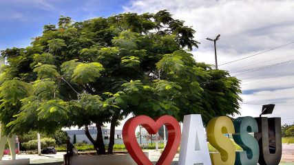 WhatsApp Image 2025-12-05 at 12.12.42 PM