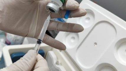 WhatsApp Image 2026-03-28 at 10.38.38 AM (1)