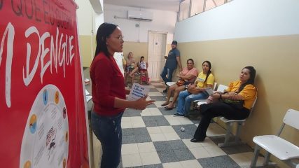 combate a dengue (6)