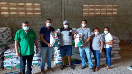 distribuição de sementes