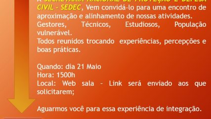 imagem1