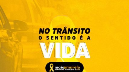 imagem12