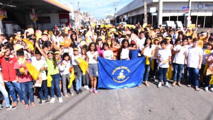 maio amarelo (8)