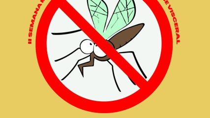 mosquito palha (1)