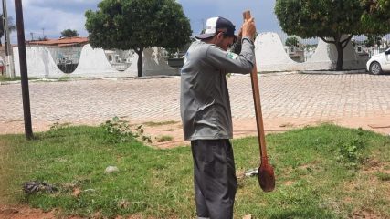 projeto de arborização da cidade do Assú está cada dia mais se expandindo (3)